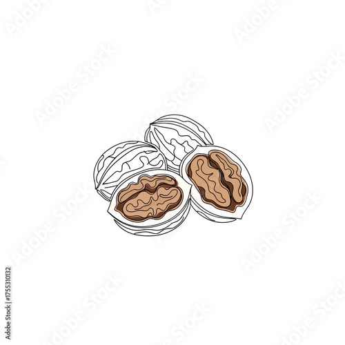 Vector art of a small pile of whole and cracked walnuts, showcasing their textured shells and rich, brown kernels, isolated on a in a simple line art illustration