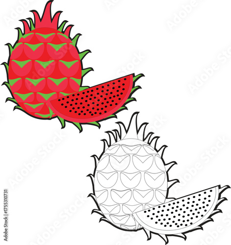 Dragon fruit or pitaya easy coloring page book for kids activity