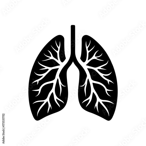 Lungs anatomical structure on transparent background silhouette