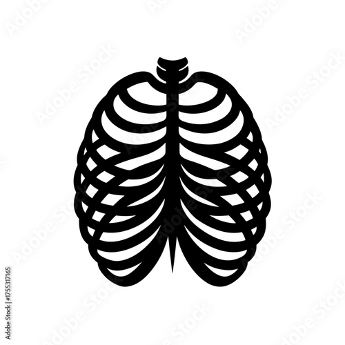 Silhouette of a ribcage on transparent background