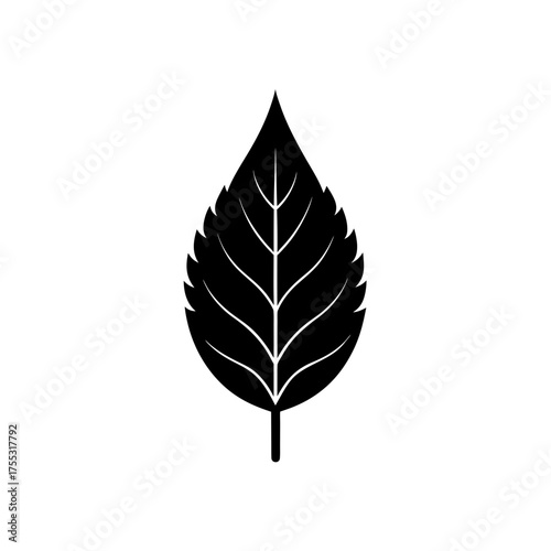 A simple black leaf art on transparent background silhouette