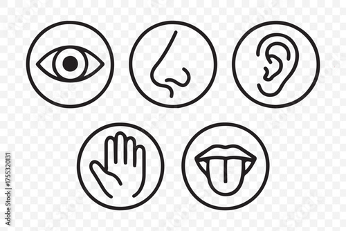 Human senses icon set. Vision eye, smell nose, hearing ear, touch hand, taste mouth with tongue. Simple line icons in circle. Five senses of human nervous system. set of five senses icon.