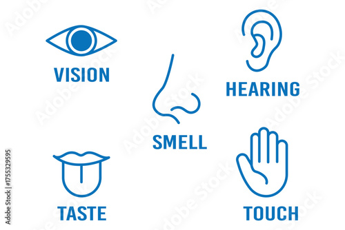 Human senses icon set. Vision eye, smell nose, hearing ear, touch hand, taste mouth with tongue. Simple line icons in circle. Five senses of human nervous system. Design eye, ear, nose, mouth.