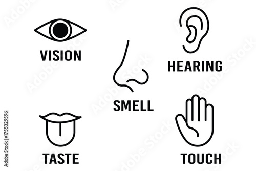 Human senses icon set. Vision eye, smell nose, hearing ear, touch hand, taste mouth with tongue. Simple line icons in circle. Five senses of human nervous system. Design eye, ear, nose, mouth.