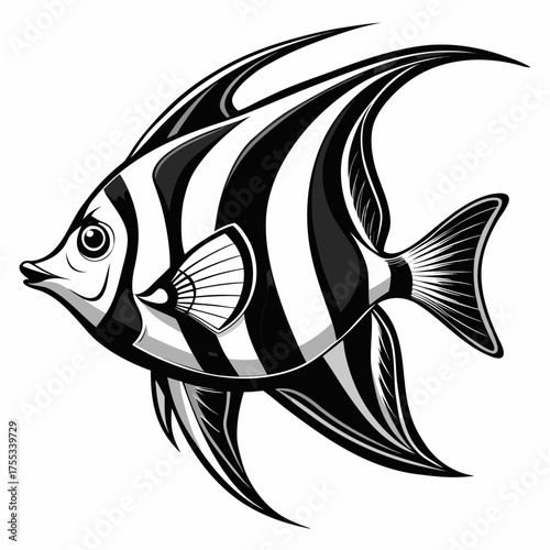 Monkfish angelfish vector illustration high quality scalable black and white design