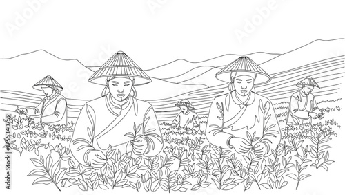 Continuous Line Drawing of Workers Plucking Tea Leaves in a Plantation – Clean Black Outline Representing Culture, Craftsmanship, and Agricultural Tradition
