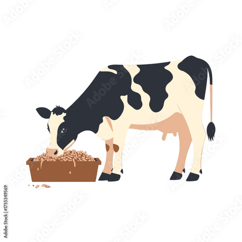 Spotted Dairy Cow Eating From a Brown Trough on a White Background Flat Vector Art Style Illustration