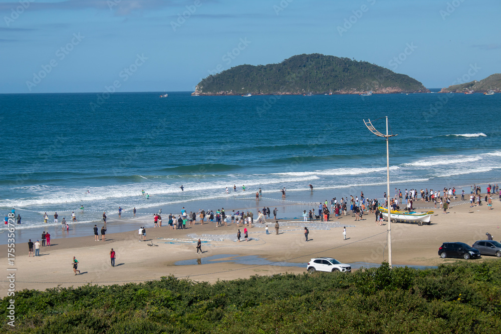 Fototapeta premium pesca da tainha Florianopolis Florianópolis Santa Catarina Brasil praia do Santinho Ingleses