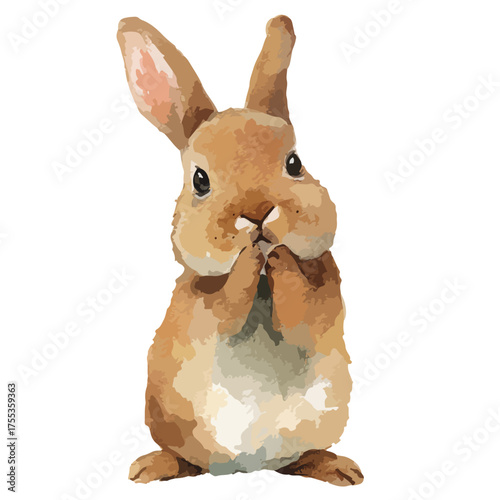 Cute Brown Bunny Rabbit Illustration.