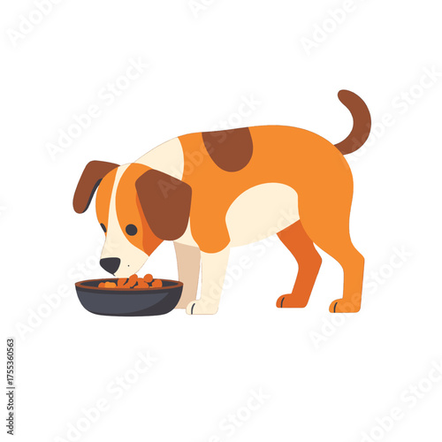 Brown and White Dog Eating from Gray Bowl Isolated on White Background Pet Canine Animal Friend Food Nutrition Meal Healthy Diet
