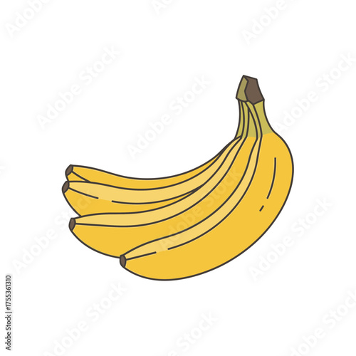 Isolated bunch of bananas on white background for food and dietary themes