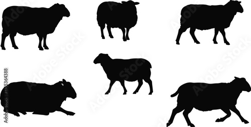 Black sheep silhouettes in various poses, standing, walking, lying down, farm animal vector illustration for agriculture, wool, ranch, rural livestock design