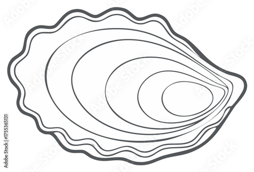 Elegant outline illustration of an open oyster shell with organic contour lines
