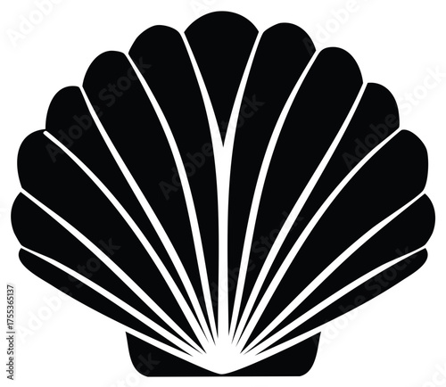 Black and white seashell illustration graphic design element, isolated on white.