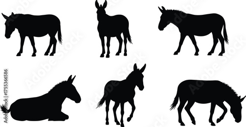 PrintDonkey silhouette vector set, farm animal poses, walking, standing, lying down, grazing, black shape, livestock icon, anatomy reference