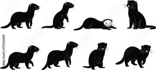 Ferret silhouette collection, black animal shapes, various poses, standing, sitting, walking, lying down, isolated, vector, pet, wildlife