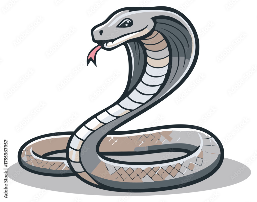 Obraz premium Aggressive king cobra snake mascot in a coiled striking pose vector illustration