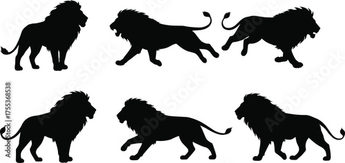 Lion silhouette, wild animal, African wildlife, big cat, predator, majestic mane, walking lion, running lion, safari scene, nature illustration