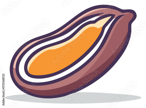 Vector illustration of a dried date fruit cut in half showing the pit and sweet flesh