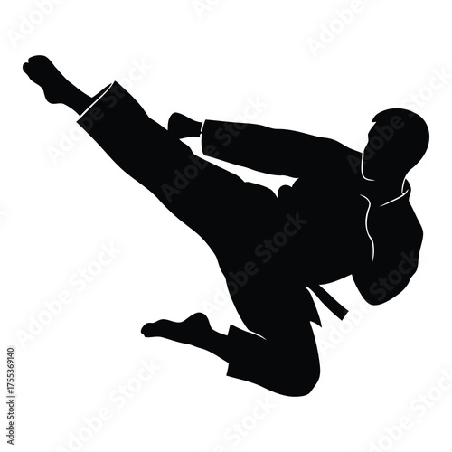 Dynamic martial artist silhouette performing powerful kick demonstrating discipline and focus ideal for fitness, self-defense, and sport concepts