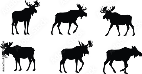 Moose silhouette, bull moose antlers, grazing moose, walking moose, wildlife vector, forest animal, hunting design, nature illustration, wild mammal, animal pose