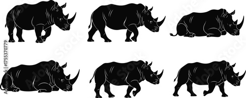 Rhinoceros silhouette poses, standing, walking, lying down, head raised, black vector, isolated animal set, wildlife anatomy reference