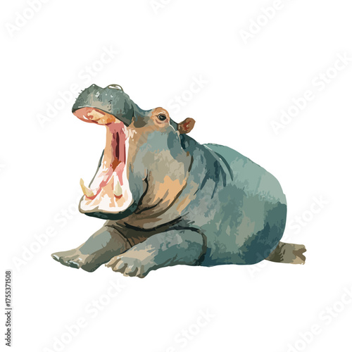 African Hippopotamus Yawning Wildlife Illustration.