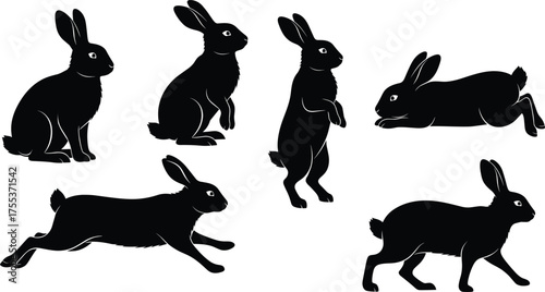 Rabbit silhouette poses, sitting, crouching, standing, lying, running motion, black vector, isolated animal set, bunny anatomy reference