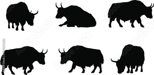 PrintYak silhouette vector set, Himalayan livestock illustration, black animal shapes, grazing and walking poses, shaggy fur, horns, anatomy study