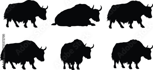 PrintYak silhouette vector set, black animal shapes, Himalayan livestock, furry horned cattle, wildlife illustration, farm animal graphic, stock art