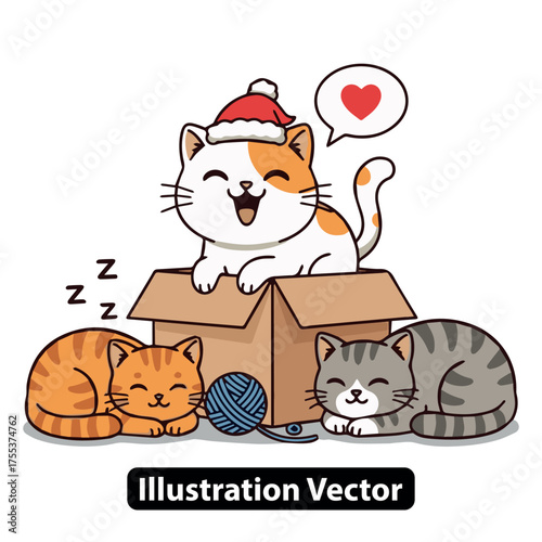 Adorable Kittens Sleeping and Playing Around a Cardboard Box at Christmas Time
