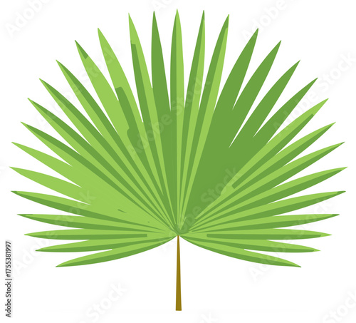 Stylized green fan palm leaf illustration, a tropical botanical vector element for summer vacation design