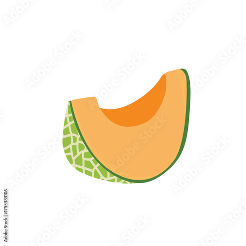 Cut Cantaloupe melon, fruit vector, Fresh green Cantaloupe Melon fruit and pieces. Sweet organic melons for juice, smoothie or vitamin healthy food. Vector icon illustration isolated 