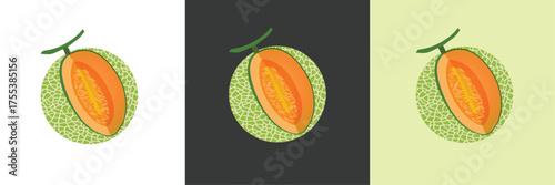 Cantaloupe melon, fruit vector, Fresh green Cantaloupe Melon fruit and pieces. Sweet organic melons for juice, smoothie or vitamin healthy food. Vector icon illustration isolated 