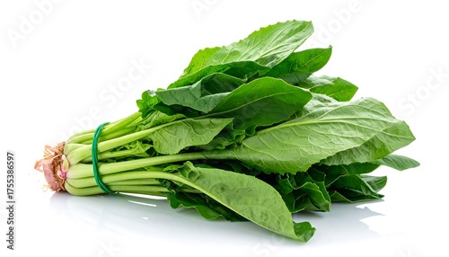 Fresh and Vibrant Bunch of Choy Sum on White Background.