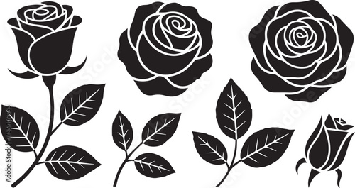 Black and White Rose Illustrations Blossoms, Buds, and Leaves in Format