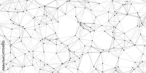Abstract network of interconnected black lines and dots forming a complex geometric mesh on a clean white background representing data structures and digital connections