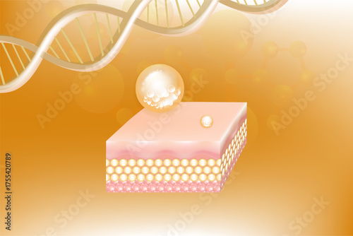 Hyaluronic acid and Niacinamide skin solutions ad, gold collagen serum drops into skin cell with cosmetic advertising background ready to use, illustration vector.	