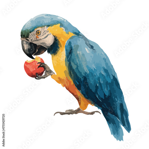 Vibrant Blue and Yellow Macaw Parrot Eating Red Apple Illustration.