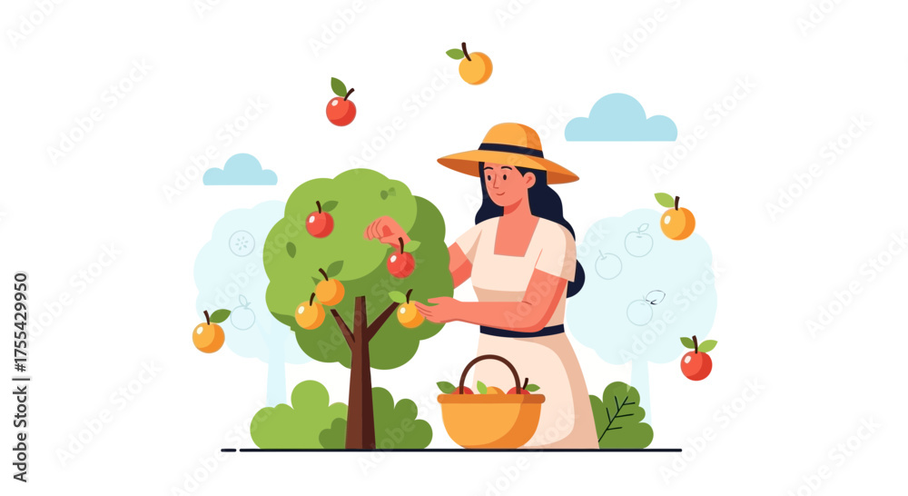 Fototapeta premium Apple Orchard Harvest: A Serene Scene of Fruit Gathering Under a Sunny Sky