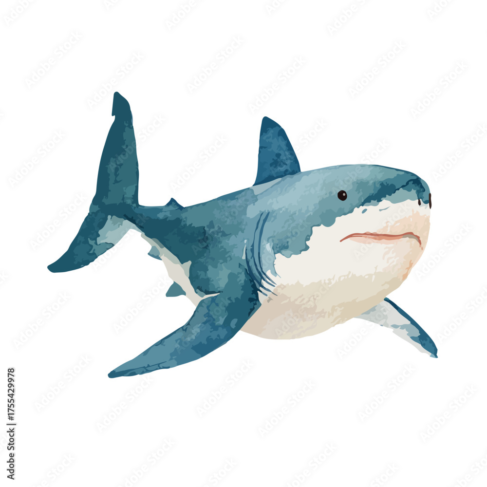 Fototapeta premium Dynamic Great White Shark Swimming Illustration.