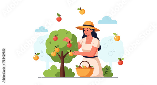 Apple Orchard Harvest: A Serene Scene of Fruit Gathering Under a Sunny Sky