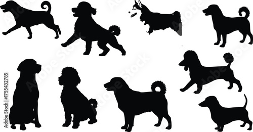 Dog breed silhouettes vector collection, black domestic pet animals standing and sitting illustration, playful dogs outline shapes isolated on white background for design and decoration
