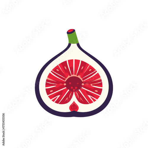 Vibrant Cross Section of a Fig with Red Seeds and Purple Skin on White Backdrop