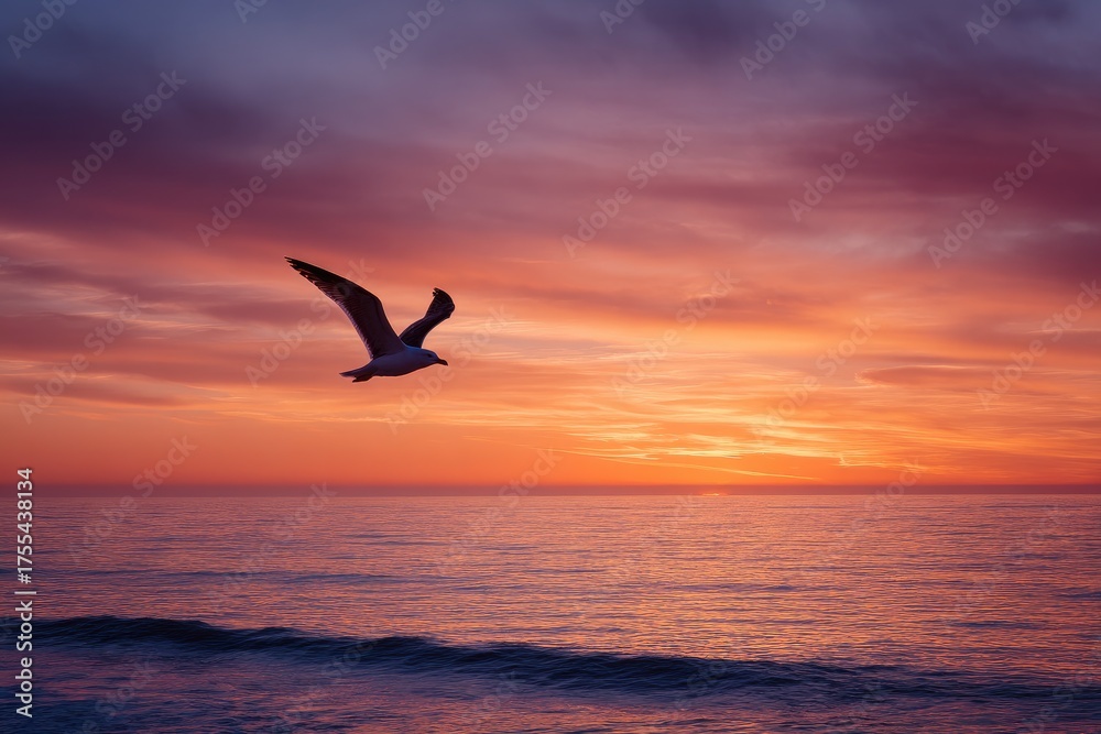 Fototapeta premium A solitary seabird soars across a vivid seascape, silhouetted against a colorful sunset