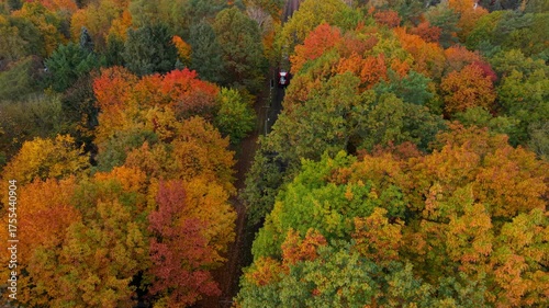 Electric passenger train passing through a tunnel of autumn trees, a unique and beautiful fall landscape, drone camera following the train.