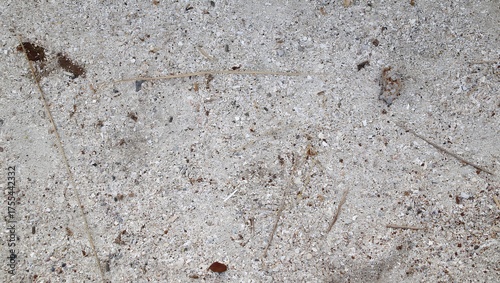 Gray concrete texture close-up surface background