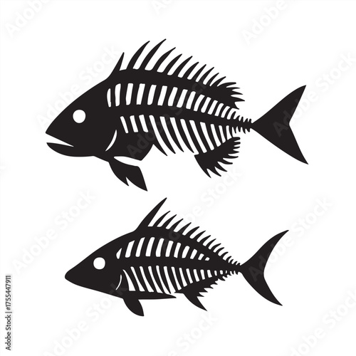 A collection of fish skeleton 