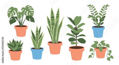 Collection of Various Potted Houseplants.