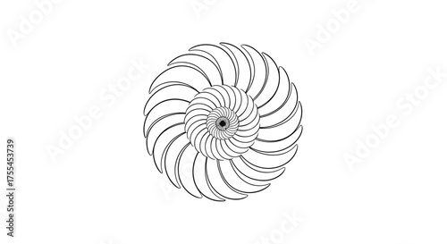 Abstract spiral pattern with radial symmetry, evoking natural forms and geometric precision